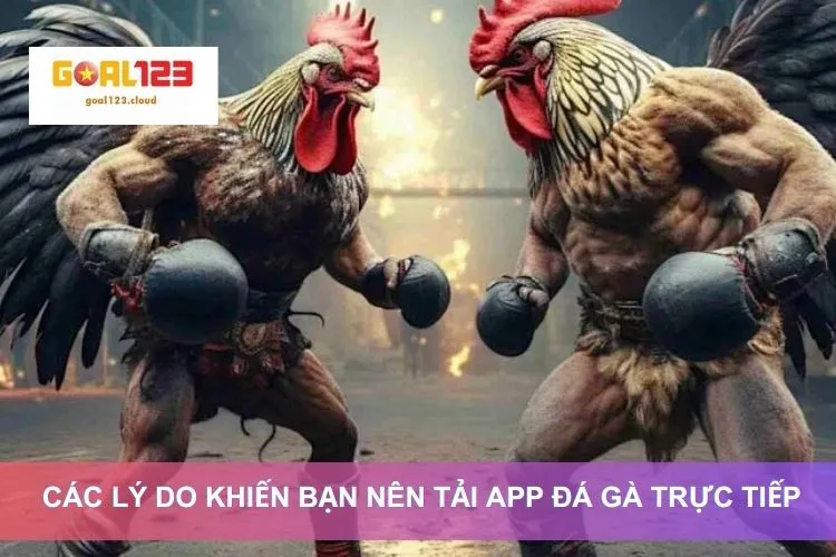 Các lý do khiến bạn nên tải app đá gà trực tiếp