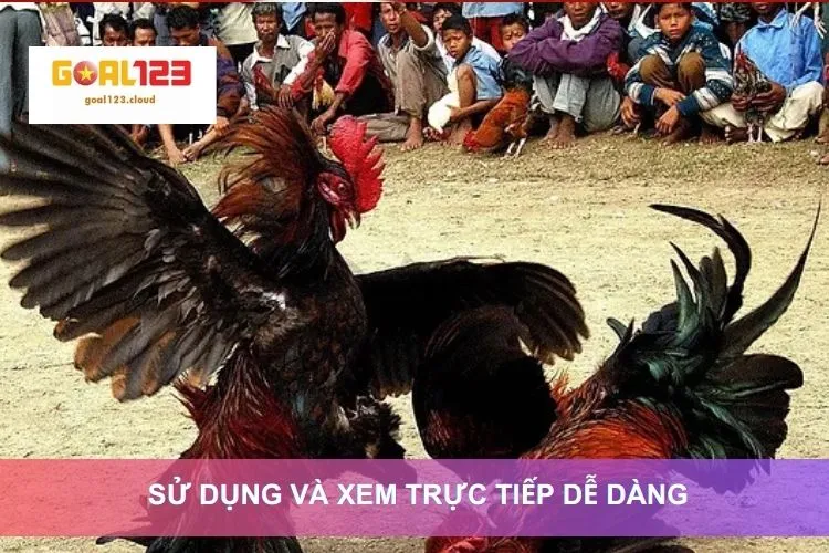 Sử dụng app đá gà trực tiếp dễ dàng