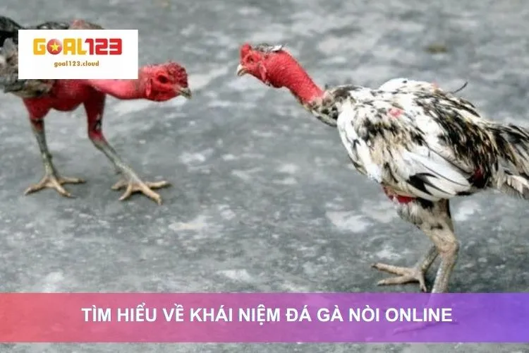 Tìm hiểu về khái niệm đá gà nòi online